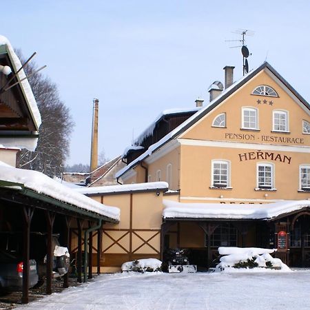 Pension Herman Rudnik Ngoại thất bức ảnh